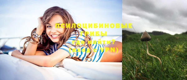 mix Вяземский