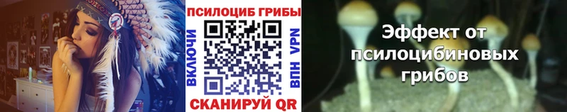 закладки  Дербент  omg   Псилоцибиновые грибы Cubensis 